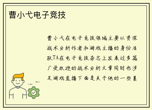 曹小弋电子竞技